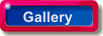 Photo Gallery